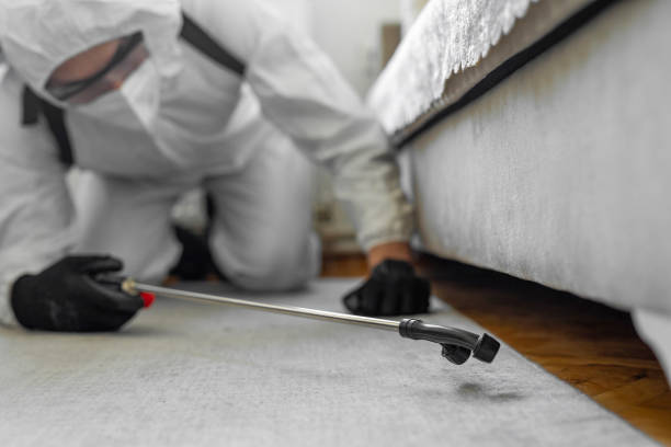 Professional Pest Control technician working in Citrus County County, FL